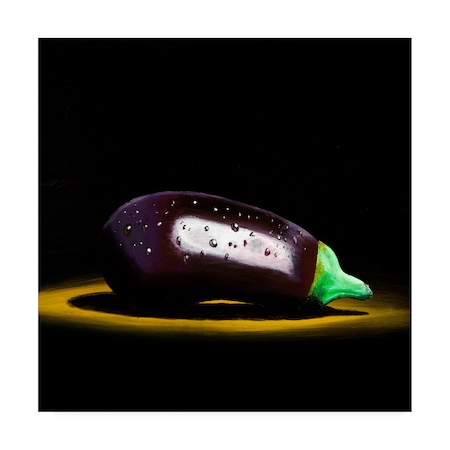 Roderick Stevens 'Eggplant' Canvas Art,18x18